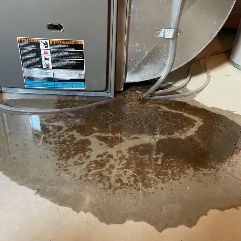 Appliance Leak Cleanup in El Paso, IL